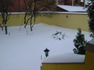 23 mart. 2018 - Cod portocaliu de viscol