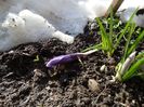 24.03 dupa cod portocaliu de vant, galben de ninsori