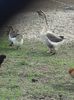 20180326_155714(0)