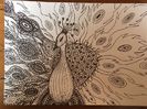 febr.2017 prima mea lucrare DOODLE