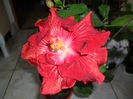 SAM_5313