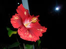 SAM_5326