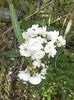 IMG-20180202-WA0007