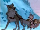 BALTO-2977