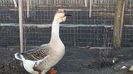 20180403_193424(0)