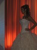 img0641vi7115465