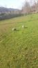 20180409_170527(0)