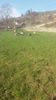20180409_170510(0)
