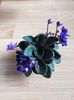 Violete Africane