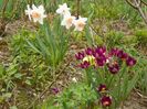 11 apr (72)