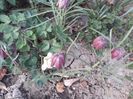 20180412_194449[1]