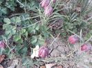 20180412_194453[1]