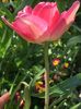 7A2BC2E0-0093-4764-BCCF-66B876BBCDA5