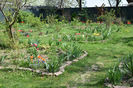 Idilic Garden