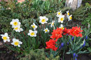 Abba si Flower record