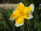 Narcissus Sovereign (2018, April 07)