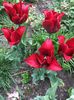 7675DFE5-8D12-42E3-A1BD-41A2962147C8