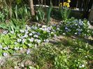 13 apr (10)
