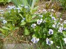 15 apr (24)