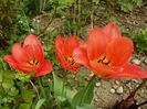 15 apr (30)