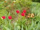 15 apr (53)