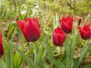 15 apr (88)