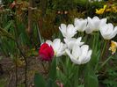 15 apr (94)