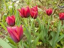 19 apr (10)