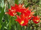 19 apr (54)