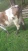 20180422_102904(0)