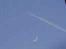 Luna noua in Berbec