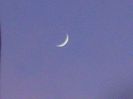Luna noua in Berbec