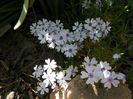23 apr (56)