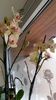IMG-20180311-WA0017