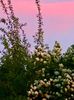 A22D8B5D-4CE4-4333-935C-13CA178F3933