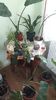 received_1971838612849699