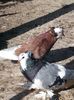 20180428_172632[1]