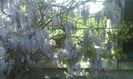 IMG-20180429-WA0009