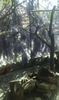 IMG-20180429-WA0008
