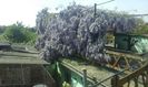 IMG-20180429-WA0005
