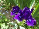 25 apr (11)