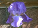 25 apr (82)