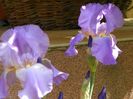 25 apr (108)