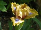 25 apr (122)