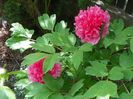 29 apr (87)