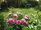 29 apr (104)