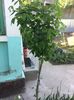 845414D1-6410-4F05-95D7-0B12E6F059C6