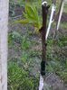 Photo0398