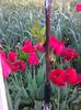 Photo0399