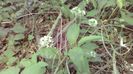 IMG-20180501-WA0030